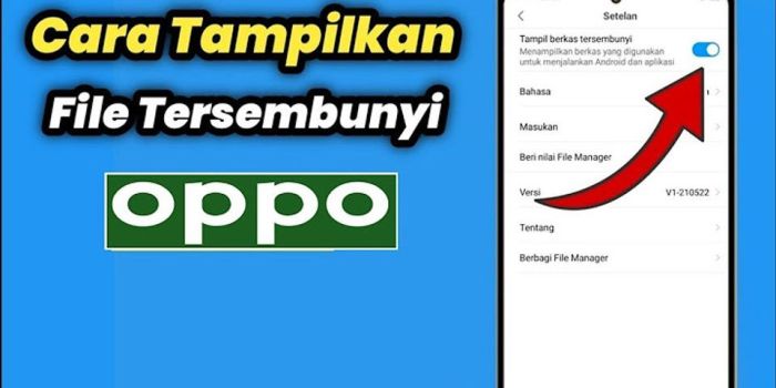 Cara menampilkan file tersembunyi di hp vivo y12