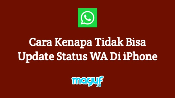 Kenapa status wa tidak bisa terkirim