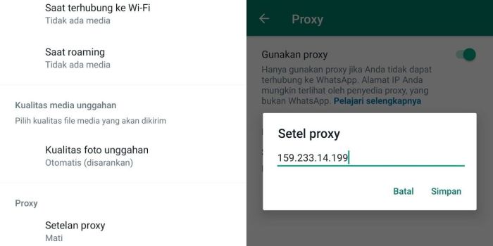 Apa itu bisukan notifikasi wa