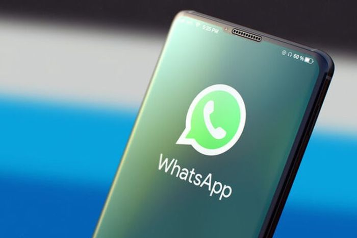 Kenapa whatsapp tidak bisa melihat status video