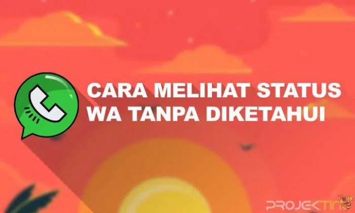 Kenapa wa saya tidak bisa melihat status video