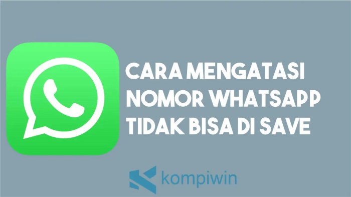 Nomor tidak bisa daftar wa