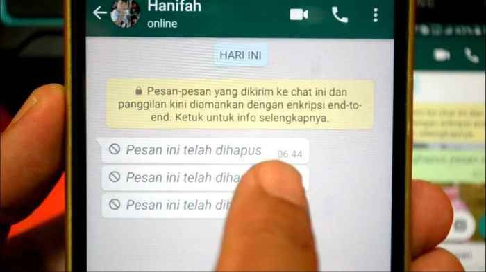 Kenapa chat di wa hilang semua