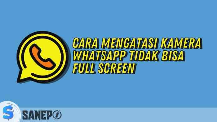 Kenapa kamera whatsapp tidak bisa digunakan