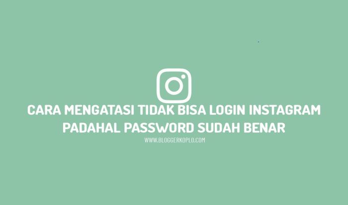 Tidak bisa daftar ig