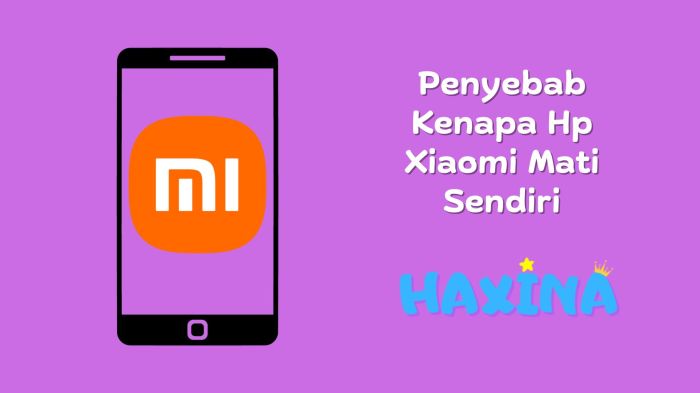 Hp xiaomi mati sendiri