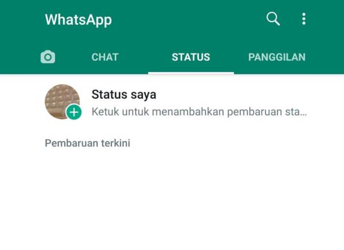 Kenapa status wa tidak bisa terkirim