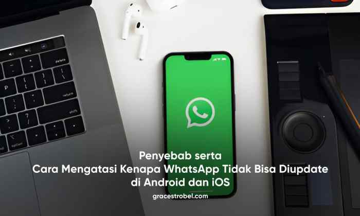 Whatsapp tidak bisa di update