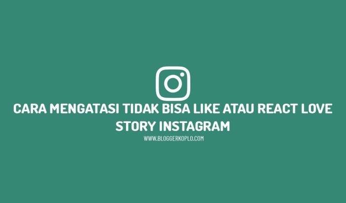 Instagram terblokir tidak bisa like