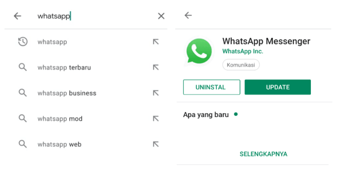 Kenapa wa tidak bisa di update