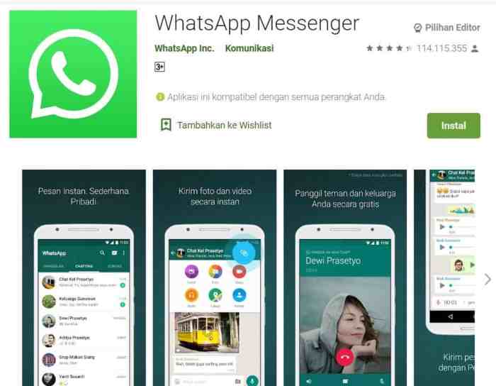 Kenapa whatsapp tidak bisa di update