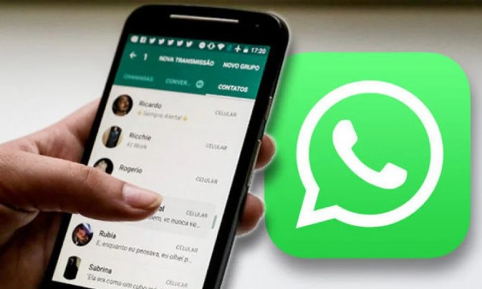 Chat whatsapp tidak bisa dihapus