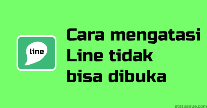 Kenapa line tidak bisa login