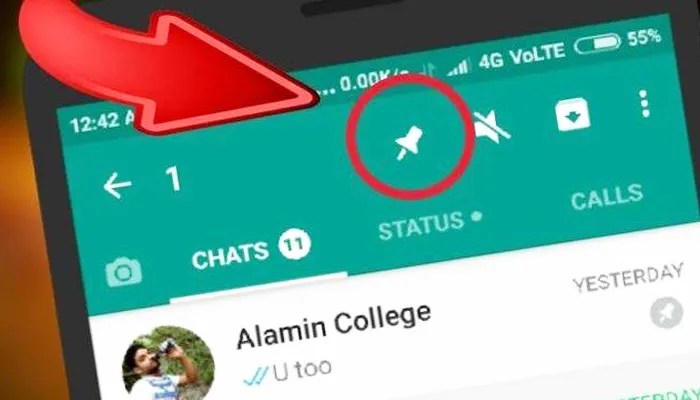 Sematkan chat artinya