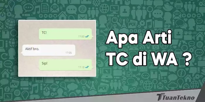 Apa artinya tc wa