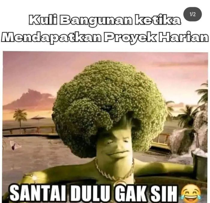 Bb bisa wa gak