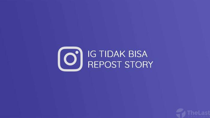 Kenapa tidak bisa membuat story ig