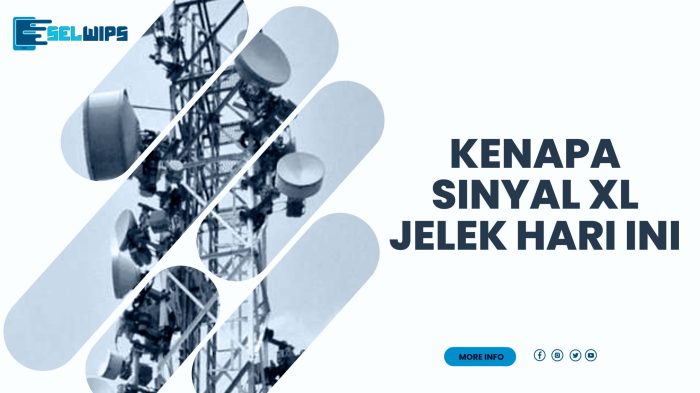 Perdana penyelamat jadi kenapa jelek mahal