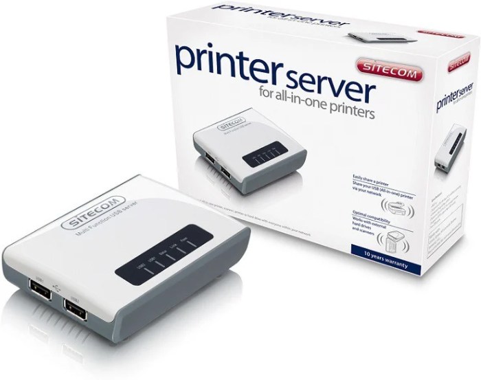 Printer server offline