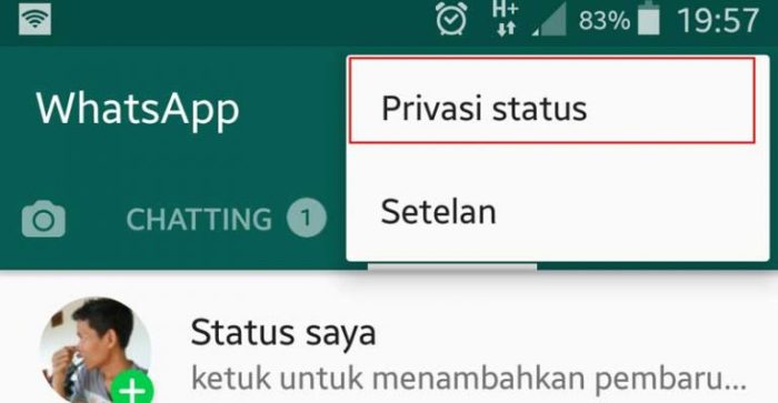 Kenapa wa saya tidak bisa melihat status video