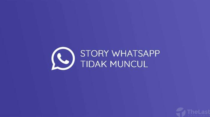 Kenapa story wa tidak muncul padahal tidak di privasi