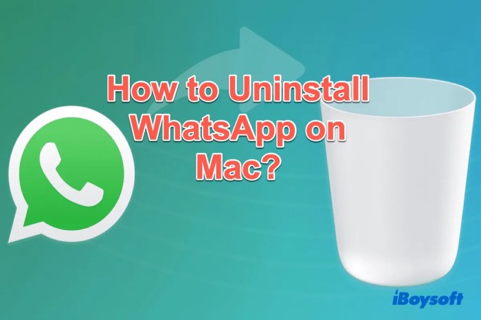 Uninstall application