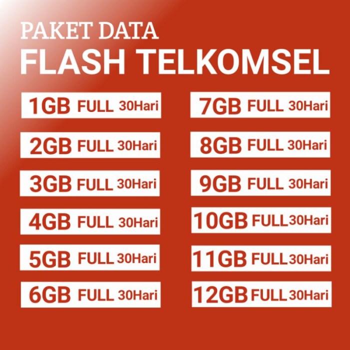 Data flash adalah