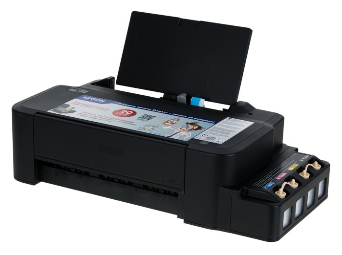 Epson l120