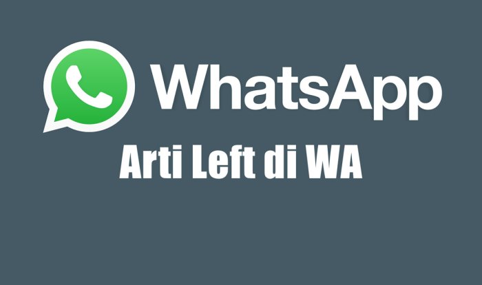 Arti disematkan di wa