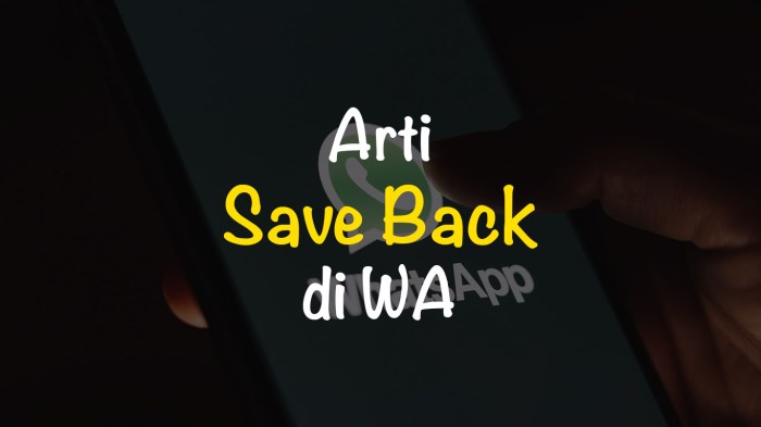 Arti save back