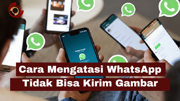 Wa tidak bisa mengirim pesan tapi bisa menerima