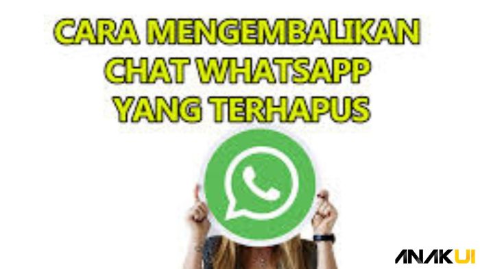 Penyebab chat wa hilang sebagian