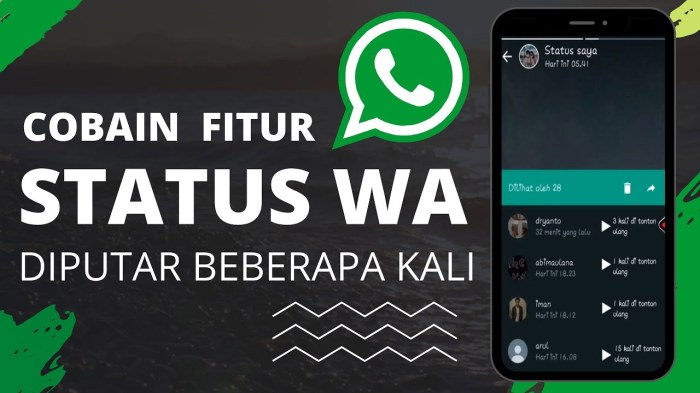 Ukuran video status wa