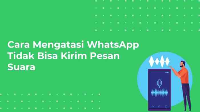 Kenapa whatsapp tidak bisa kirim audio musik