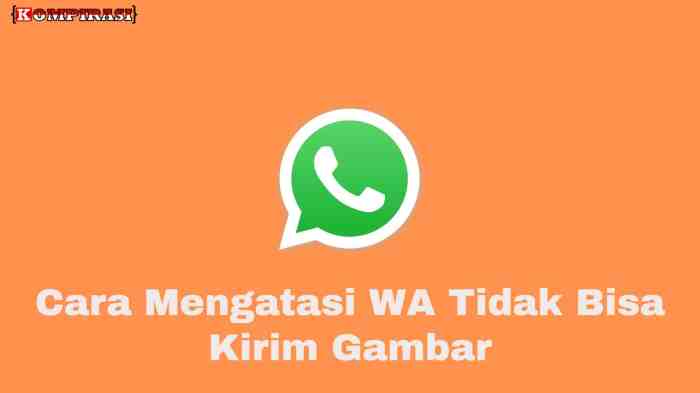 Cara mengatasi wa tidak bisa mengirim status