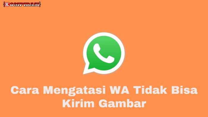 Wa tidak bisa mengirim pesan tapi bisa menerima