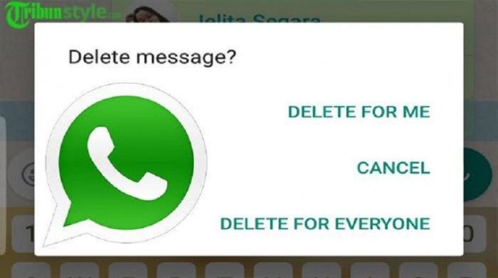 Kenapa tidak bisa unsend di wa