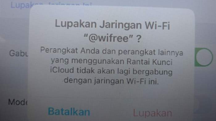 Cara melupakan jaringan wifi di iphone