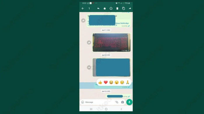 Cara mengatasi emoticon yang tidak muncul