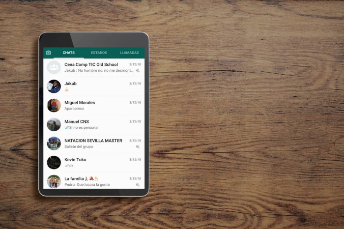 Whatsapp untuk tablet samsung