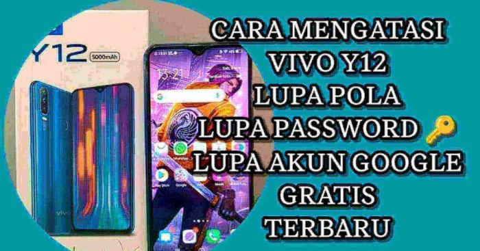 Lupa pola hp vivo