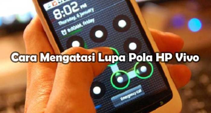 Lupa pola hp vivo