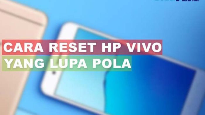 Lupa pola hp vivo