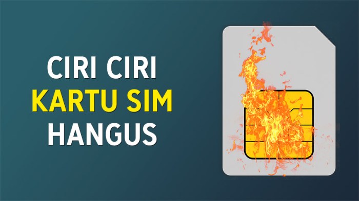 Kenapa kartu xl tidak ada sinyal