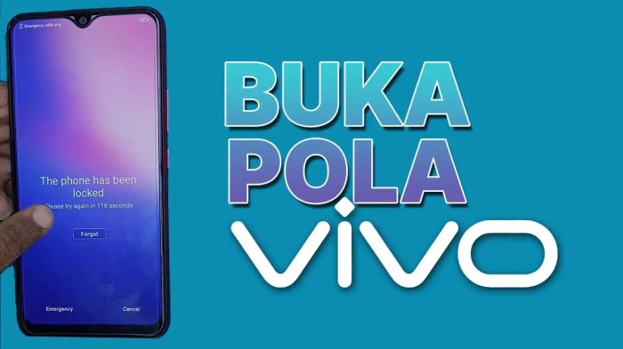 Lupa pola hp vivo