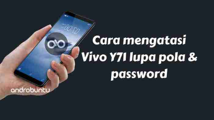 Lupa pola hp vivo