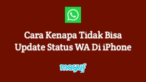 Wa tidak bisa buat status