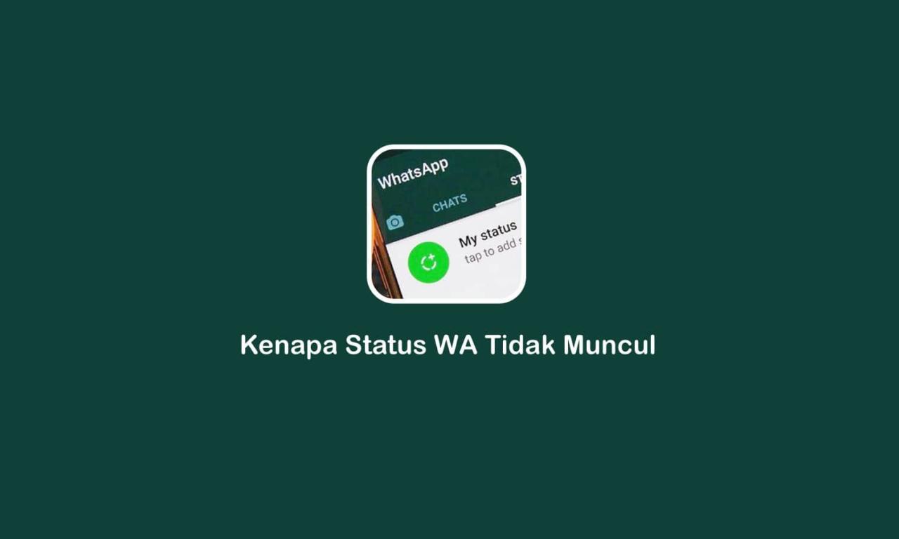 Kenapa status wa tidak bisa dibuka