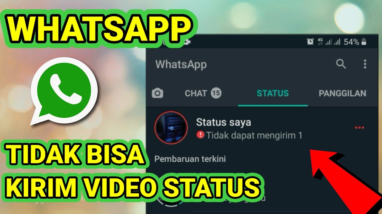 Whatsapp tidak bisa mengirim video