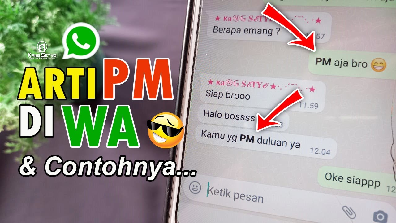 Apa yang dimaksud dengan pm di wa